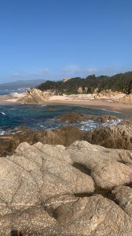 Casa de Campo Individuel Dans La Maquis Corse *