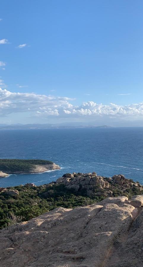 Individuel Dans La Maquis Corse