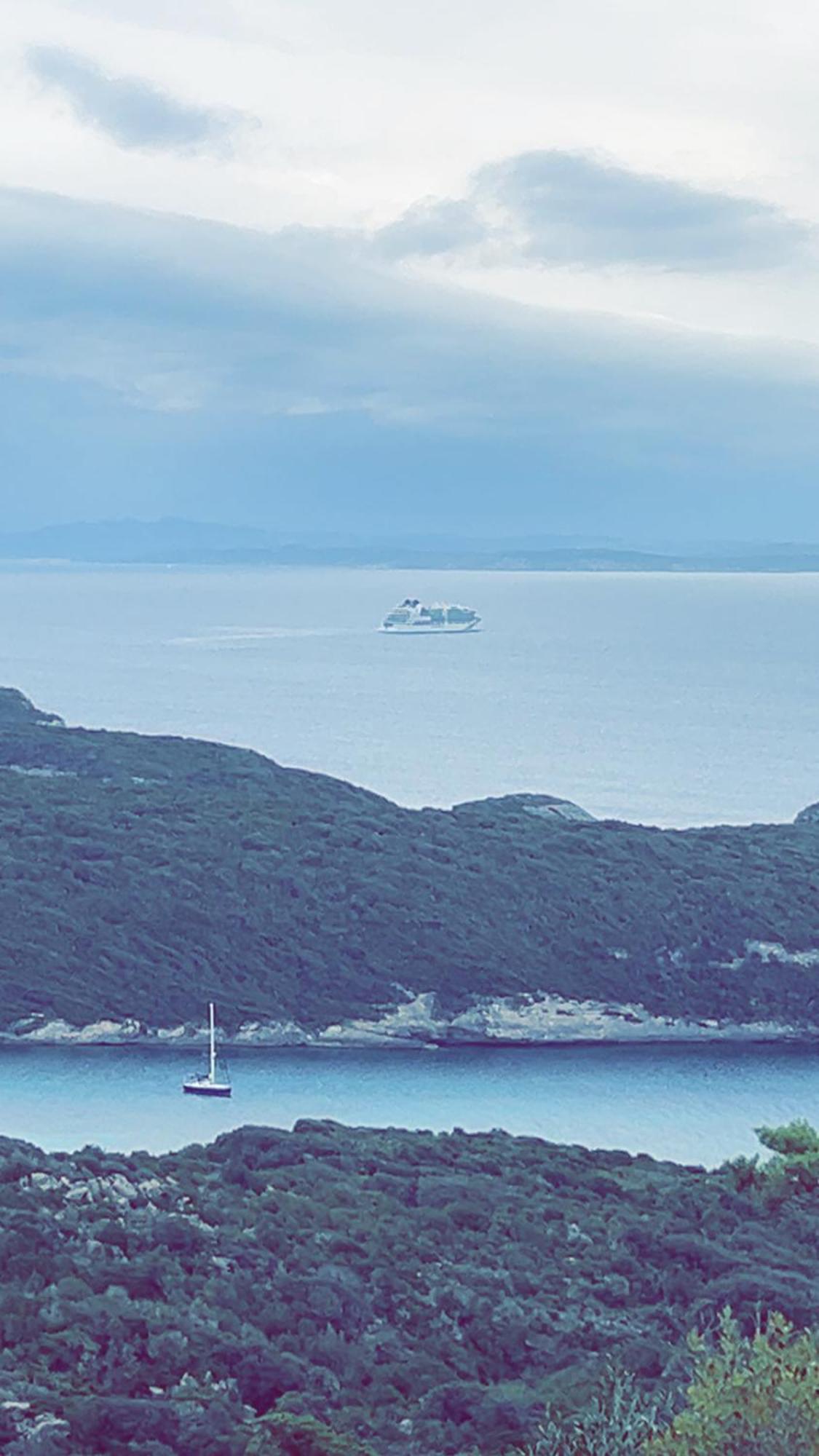 Individuel Dans La Maquis Corse